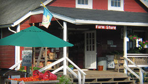 farmstore