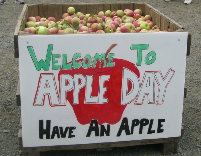 apple day bin