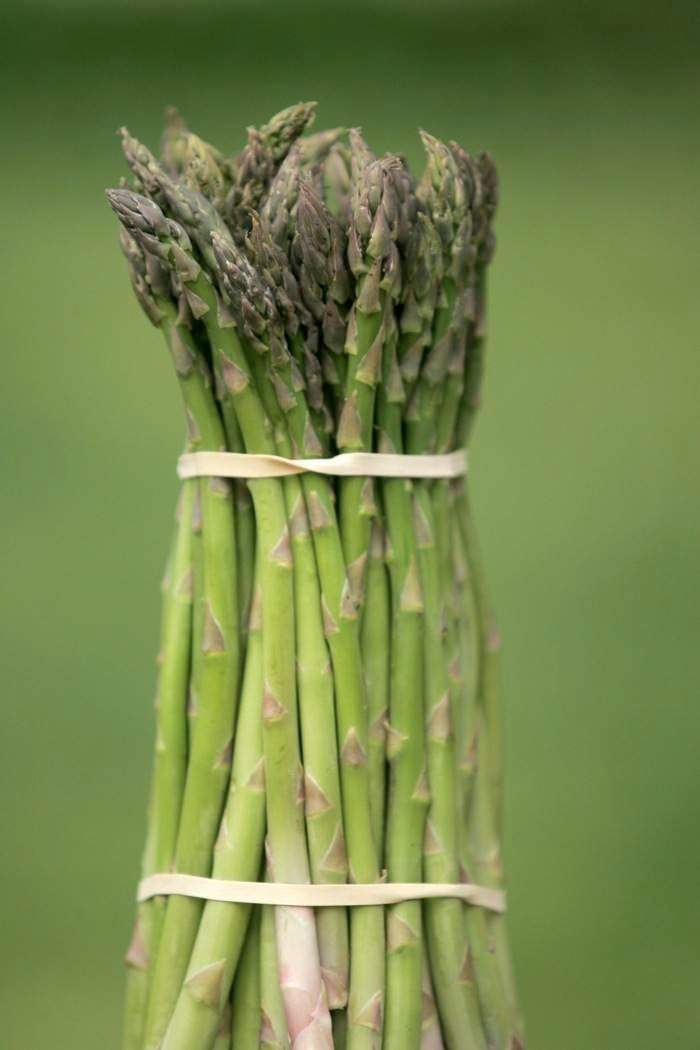 asparagus Terhune Orchards farm