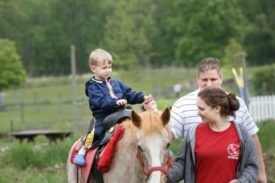 pony rides