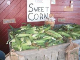 corn stand farm store