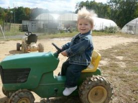 toy tractor Terhune Orchards farm