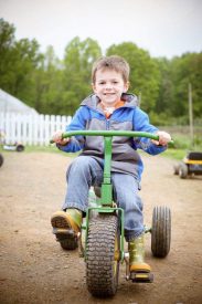 pedal tractor Terhune Orchards farm