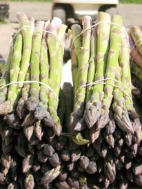 asparagus Terhune Orchards farm