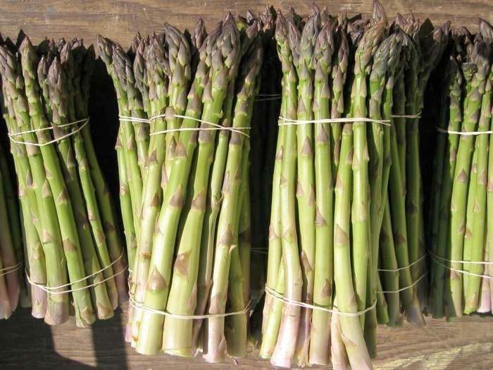 asparagus Terhune Orchards farm