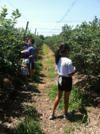 blackberry pick camp