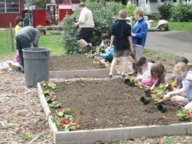 children's garden