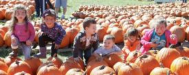 kids with pumpkins