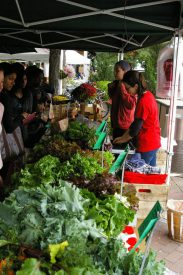 farmers' market