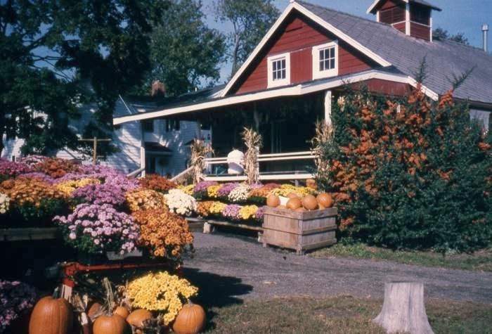 farm store