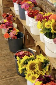 farm store flowers