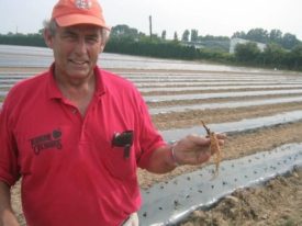 Gary Mount strawberries planting Terhune Orchards farm Princeton NJ