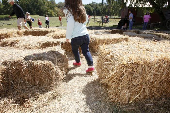 hay bale maze