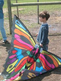 kite day