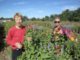 Pam flowers garden Mount Terhune Orchards farm Princeton NJ