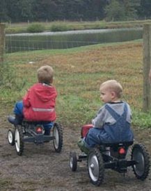 pedal tractors  Terhune Orchards farm