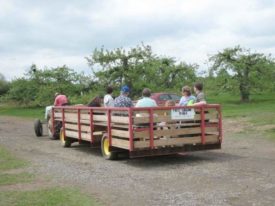 wagon Terhune Orchards farm