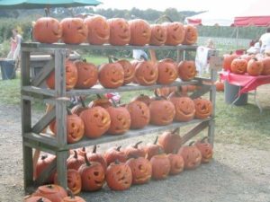 world record pumpkins 2005