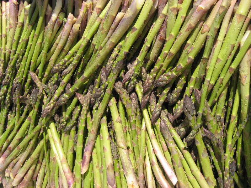 lots of asparagus