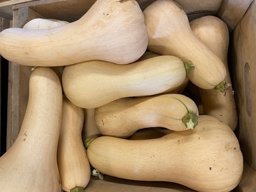 butternut-squash