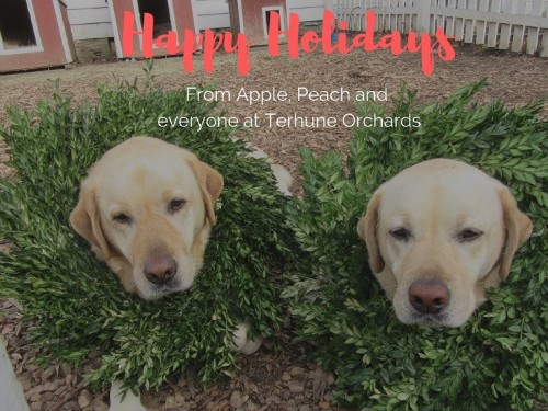 Happy Holidays Apple & Peach