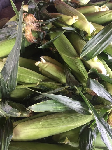 sweet corn