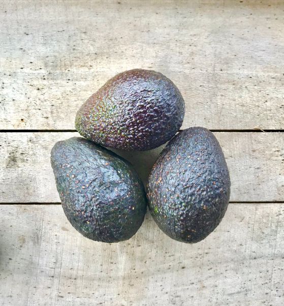 avocados