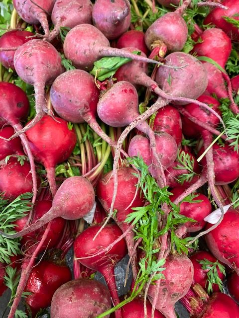 chioggia beets