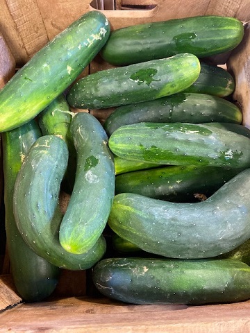 cucumbers