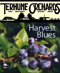 Wine - Harvest Blues