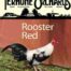 Wine - Rooster Red