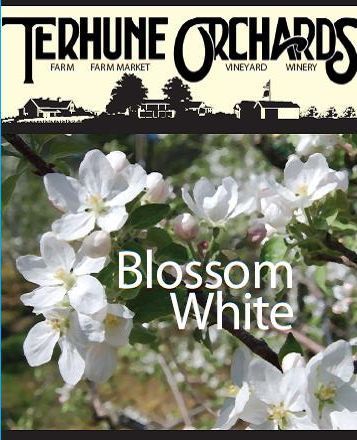 Wine - Blossom White
