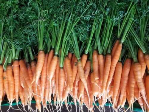 Carrots with tops - 2lb