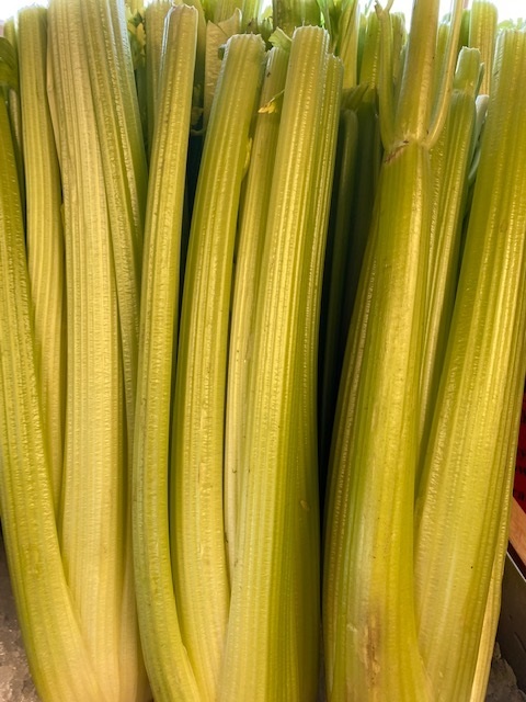 Celery