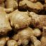 Ginger root