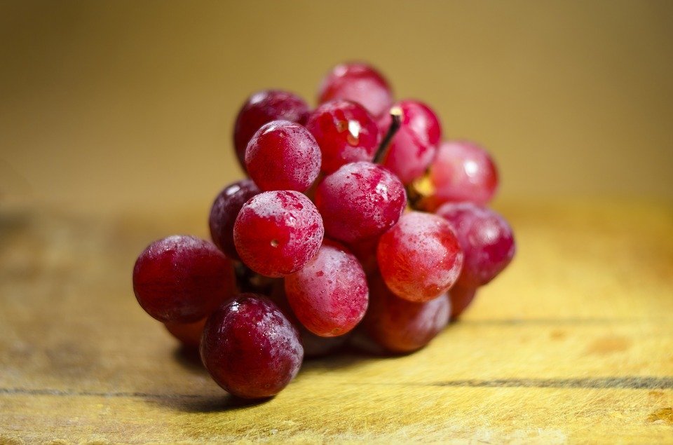 Grapes - Red