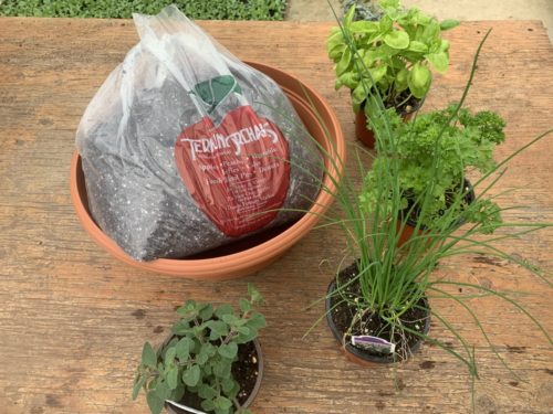 Planter Kit with 4 herbs and soil- Great Gift or Home Project