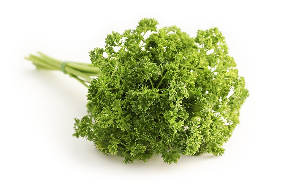 Herb - Parsley curly