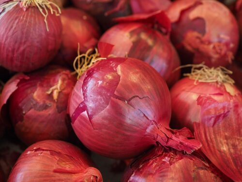 Onion red each