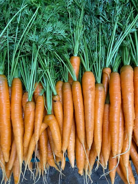 carrots