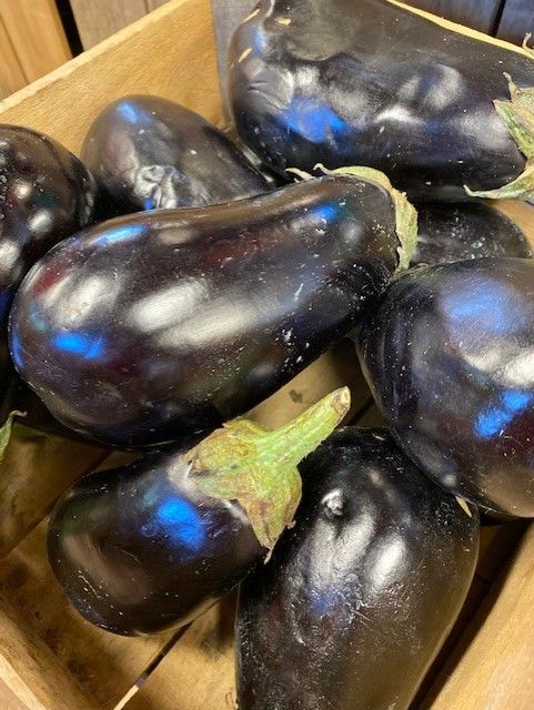 eggplant