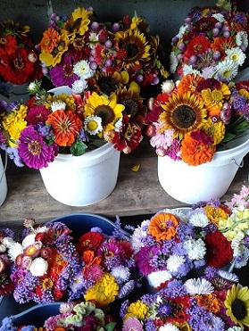 flower bunches