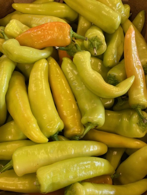 peppers hungarian