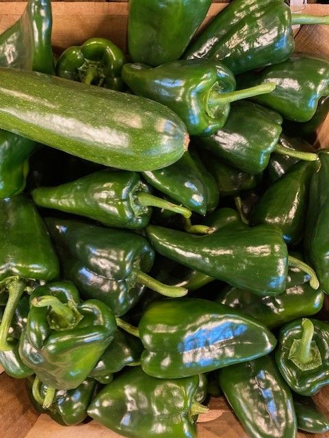 peppers poblano