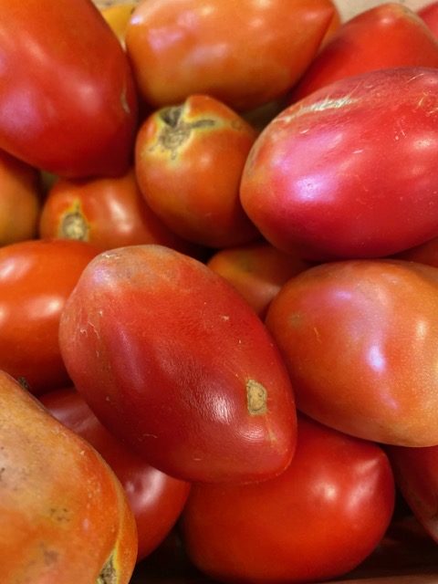 tomatoes plum
