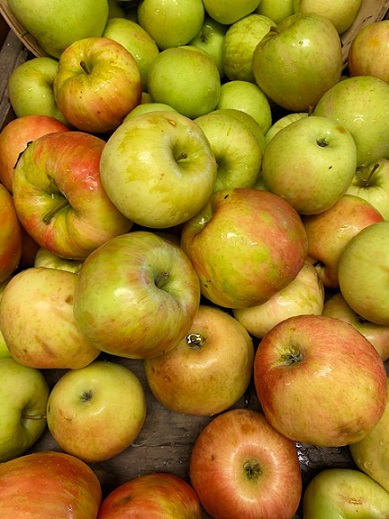 honeycrisp
