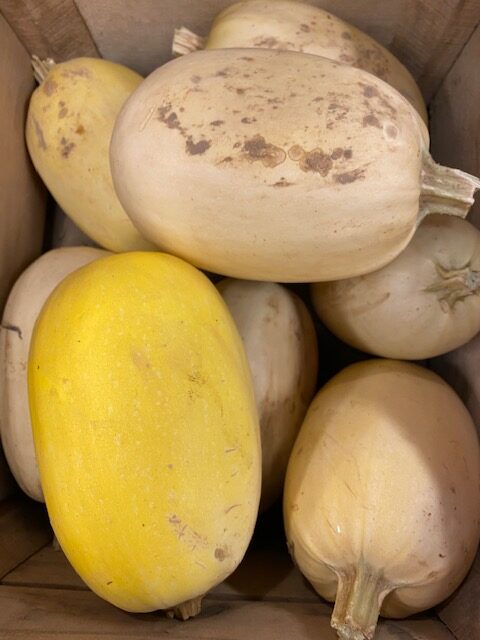 spaghetti squash