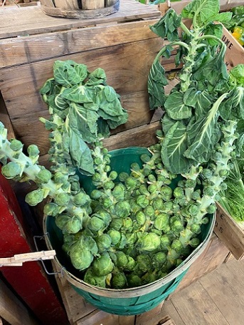 brussels sprouts