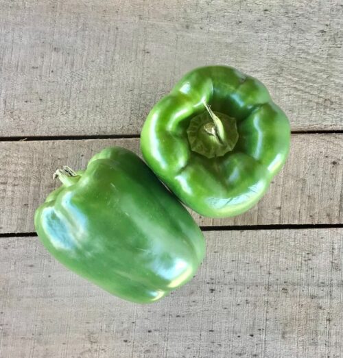 green pepper