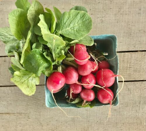 radishes